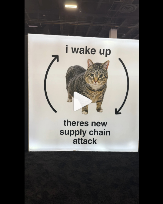 Actual frame from Matthew’s video: Three controls for AI agent security
